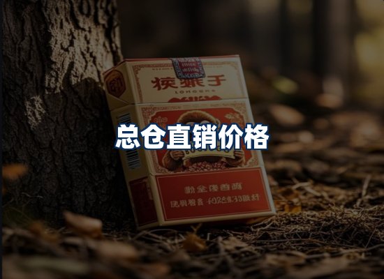 专业团队办公环境
